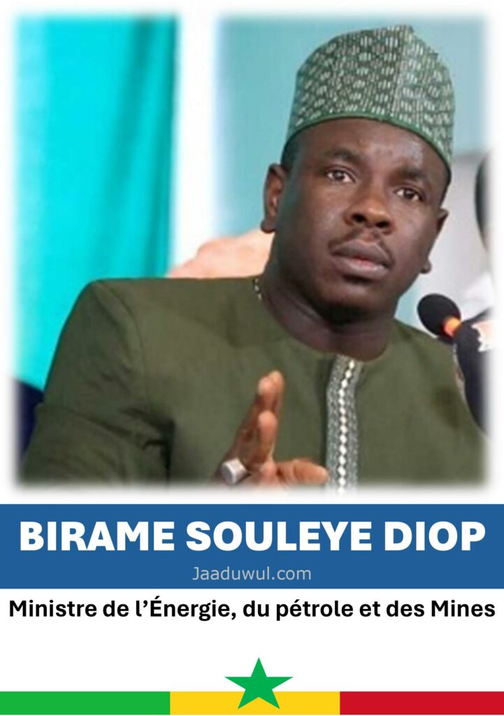 Birame Souleye Diop, Ministre de l’Énergie, du pétrole et des Mines